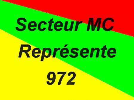 ***secteur MC***